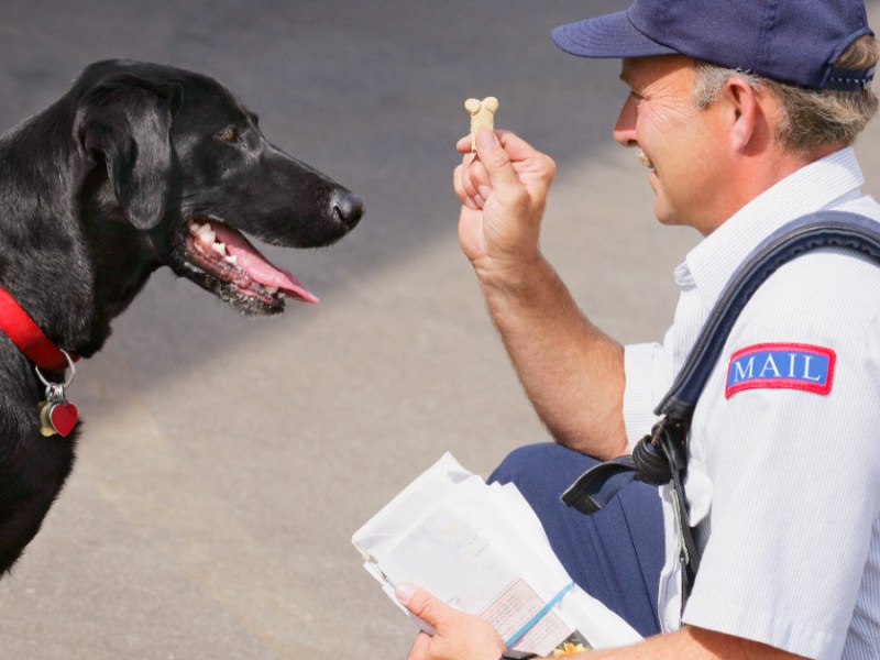 Hund und Postbote