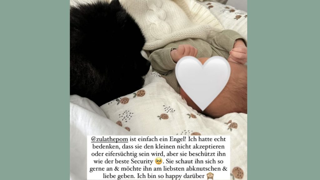 Dagi Bees Hund Zula und Söhnchen Nelio im Dezember 2021.