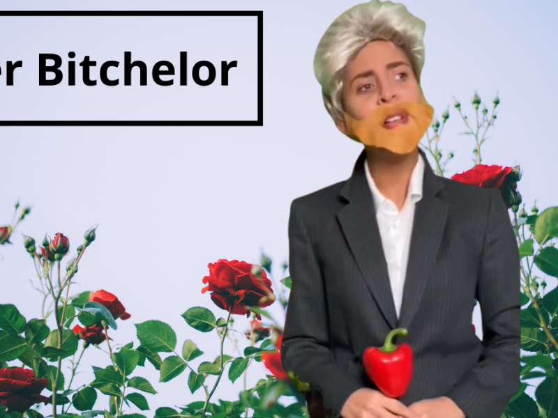 Der Bitchelor: Natasha Kimberly parodiert die Datingshow