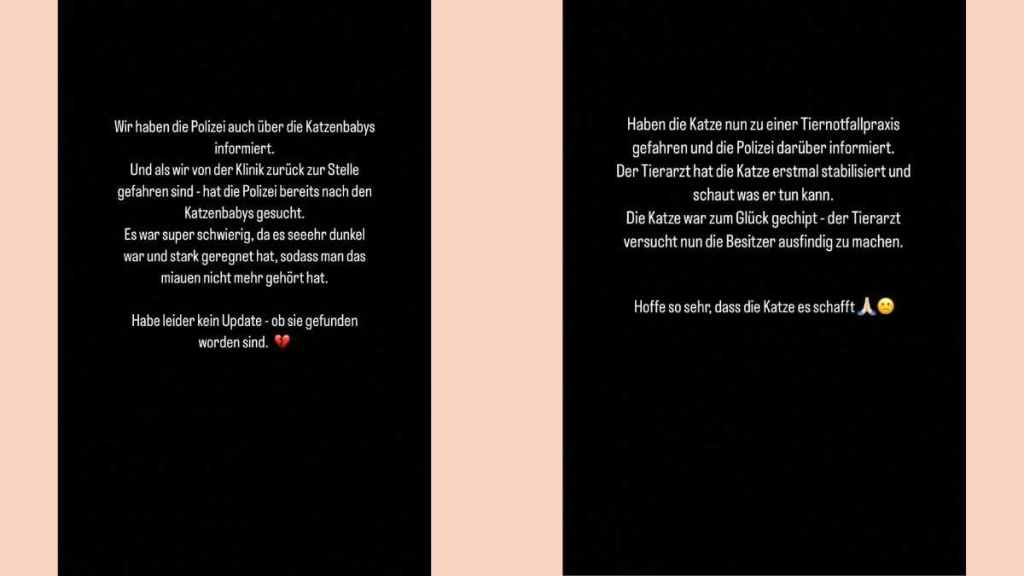 Anna Maria Damm Katzenrettung Instagram