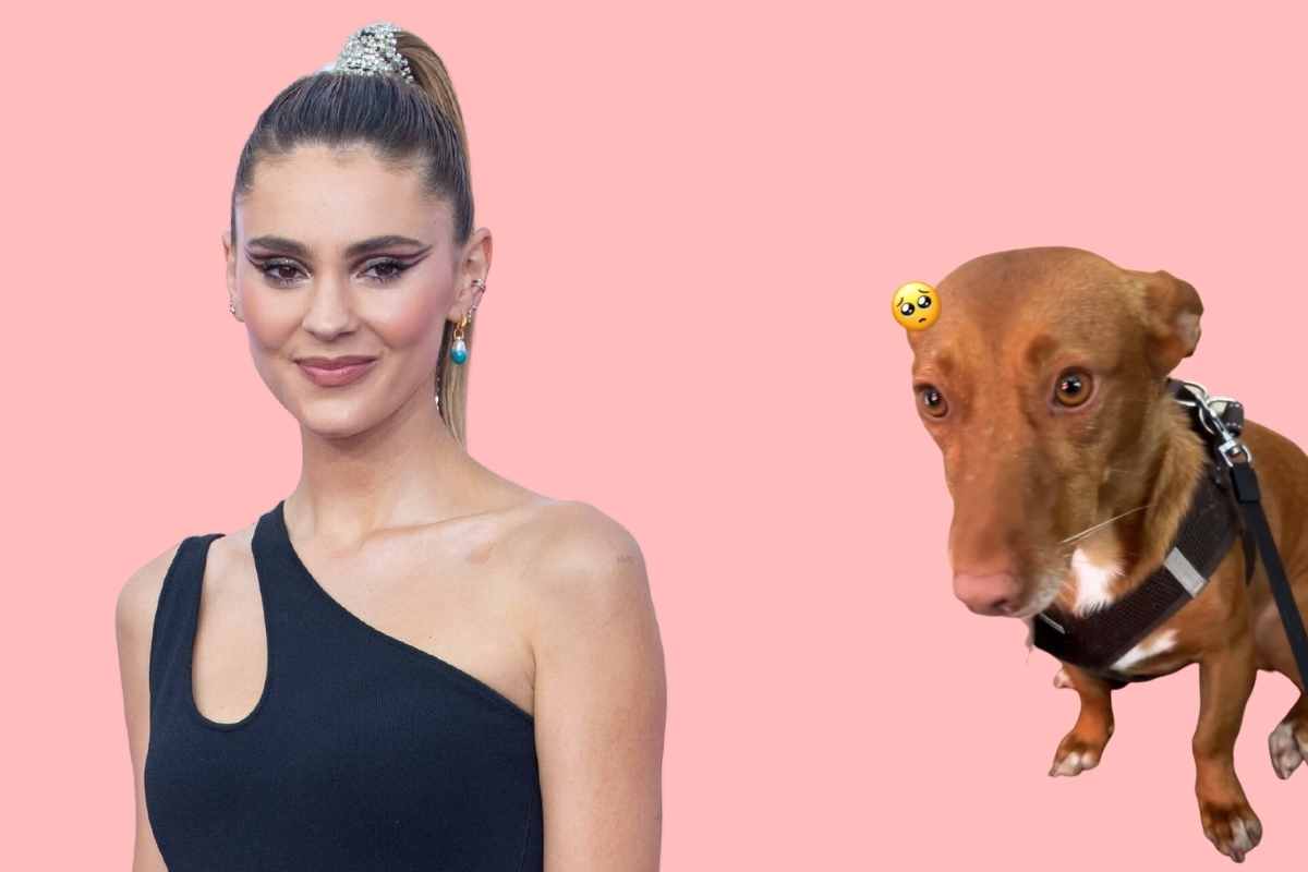 Stefanie Giesinger Hund (2)