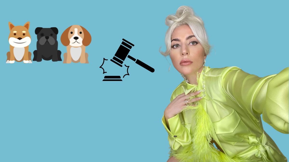 Lady Gagas Hunde wurden gestohlen