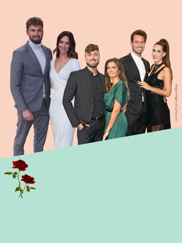 Der Bachelor: Alle Liebespaare der Show